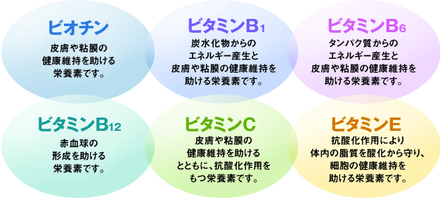 ���C�Z�u��������������